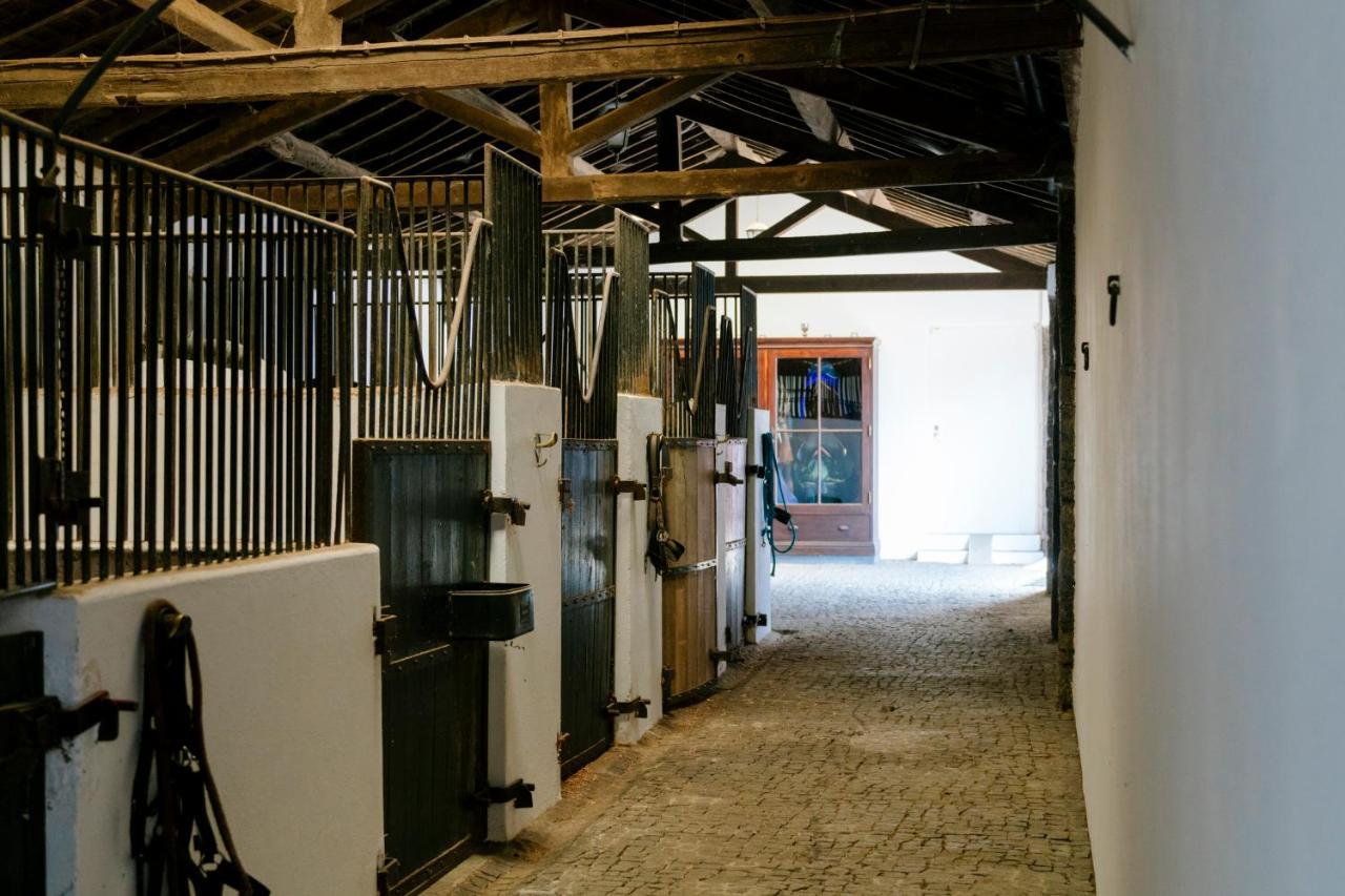Alojamento de Turismo Rural Monte Ingles *
